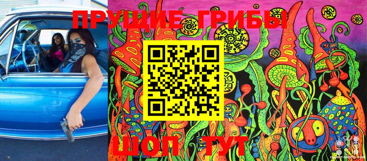 Псилоцибиновые грибы мицелий  Вход с VPN  Заволжье 
