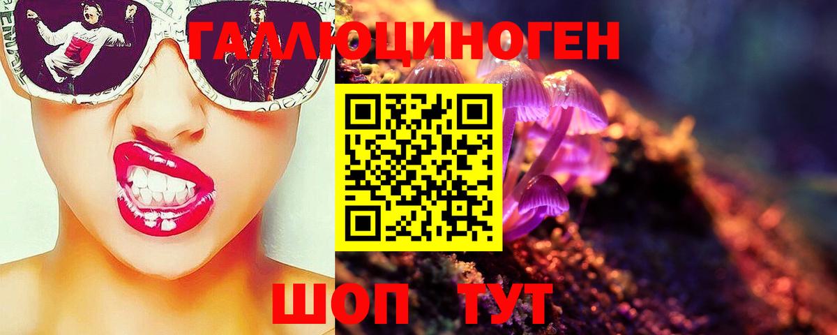 Галлюциногенные грибы Cubensis Заволжье